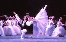 レニングラード国立バレエ「華麗なるクラシックバレエ・ハイライト」